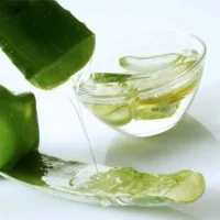Aloe Vera Gel Turkey - StyleTurk