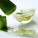 Aloe Vera Jeli