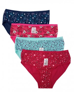 Turkish Women's Panties, Bikini Panties For Women, 4 Pieces Turkish Women's Panties, Bikini Panties For Women, 4 Pieces