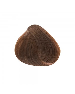 Search - Tag - Hair Care Search - Tag - Hair Care