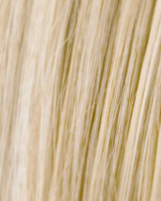 Leoni Kalıcı Saç Boyası Kremi Argan Yağlı Türk Saç Boyası 901 Ultra Süper Açık Küllü Sarı, 901N 60 Ml