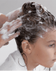 PARANIT Hair Lice Treatment Spray to Kill Head Lice and Nits, 100 ml + Special Comb Gift