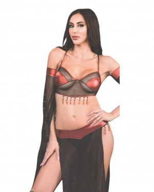 Women's Exotic Costumes, Lingerie Sets for Women, Belly Dancer Women's Exotic Costumes, Lingerie Sets for Women, Belly Dancer