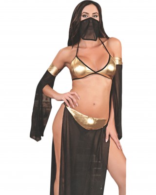 Women's Exotic Costumes, Lingerie Sets for Women, Arab Dancer, In Sexy Black