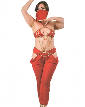 Women's Exotic Costumes, Lingerie Sets for Women, Arab Dancer Women's Exotic Costumes, Lingerie Sets for Women, Arab Dancer