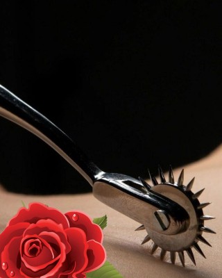 Fantazi Cinsel Uyarıcı Aksesuarlar, Ilişki Öncesi Cinsel Istek Uyarıcı Roller Fantazi Aksesuar, Fantezi Aksesuar Oyuncak