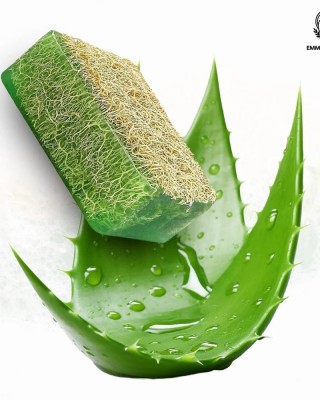 صابون ألياف اليقطين الطبيعية مع خلاصة الصبار, صابون الألوفيرا الطبيعي, صيغة اسكندنافية أصيلة, 3×125 غ