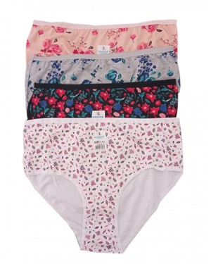 Turkish Women's Panties, Bikini Panties For Women, 4 Pieces Turkish Women's Panties, Bikini Panties For Women, 4 Pieces