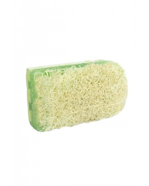 صابون بروكسين هيربال هوم بالعوامل الطبيعية بخلاصة الالوفيرا وألياف اليقطين 100 جرام: التدليك الفريد للعناية بالبشرة صابون بروكسين هيربال هوم بالعوامل الطبيعية بخلاصة الالوفيرا وألياف اليقطين 100 جرام: التدليك الفريد للعناية بالبشرة