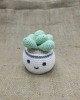 Amigurumi Mini Cute Plant Set, Doll for Kids, Amigurumi Doll, Crochet Doll, 100% Organic Syrian Handmade Soft Amigurumi Toy, Amigurumi Sleeping Friend