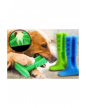 Sağlıklı Evcil Hayvan Dişleri için Köpek Diş Fırçası Oyuncağı - Büyük Boy