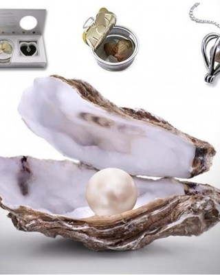 قلادة لؤلؤ حقيقي في صدفة - قلادة القدر الفريدة