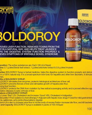 شراب بولدو روي الطبيعي لدعم الكبد, مطهر عام للجسم, داعم لصحة الجهاز الهضمي, إدارة الكوليسترول النافع والضار, تخفيف أعراض القولون, 100 مل
